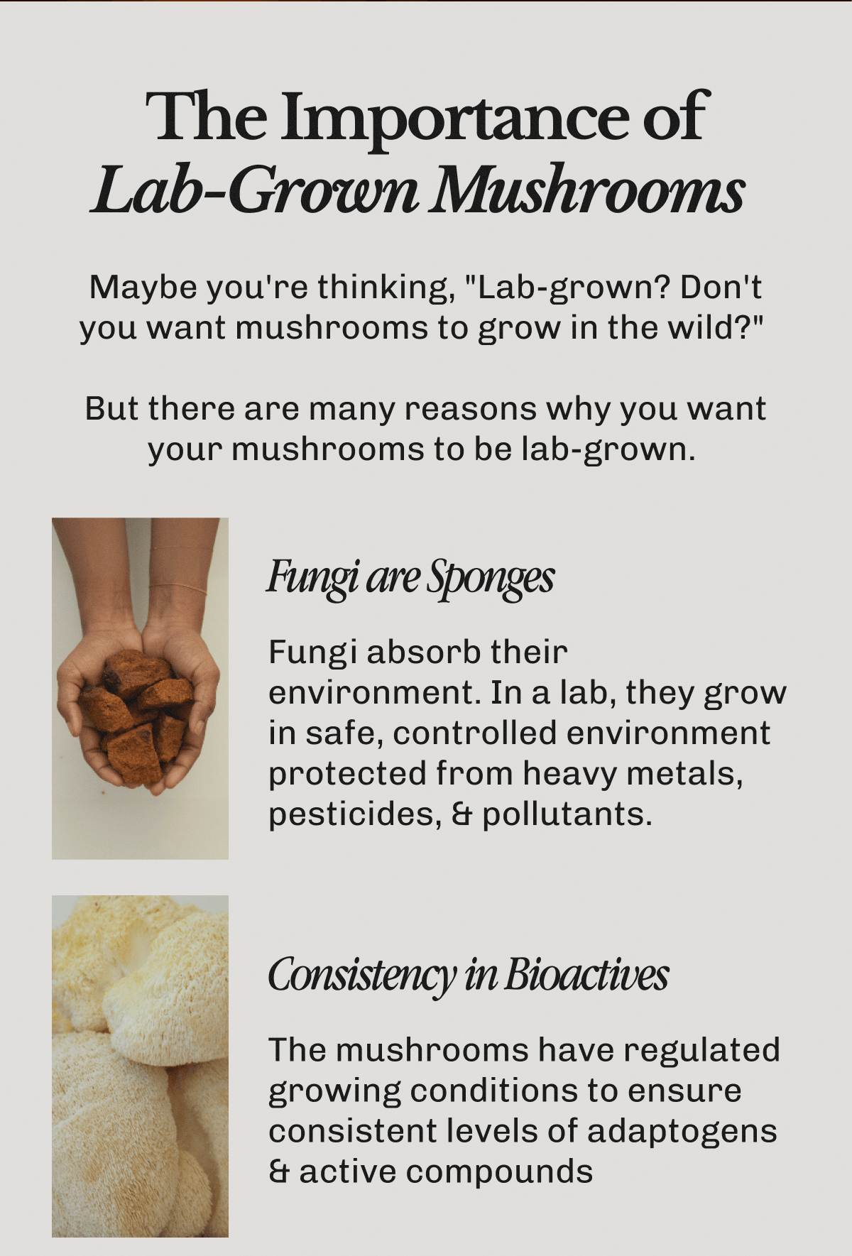 The Importance of Lab-Grown Mushrooms – Maybe you're thinking, "Lab-grown? | Don't you want mushrooms to grow in the wild?" | But there are many reasons why you want your mushrooms to be lab-grown.&nbsp;| • Fungi are Sponges – Fungi absorb their environment. | In a lab, they grow in safe, controlled environment protected from heavy metals, pesticides, & pollutants. | • Consistency in Bioactives – The mushrooms have regulated growing conditions to ensure consistent levels of adaptogens & active compounds