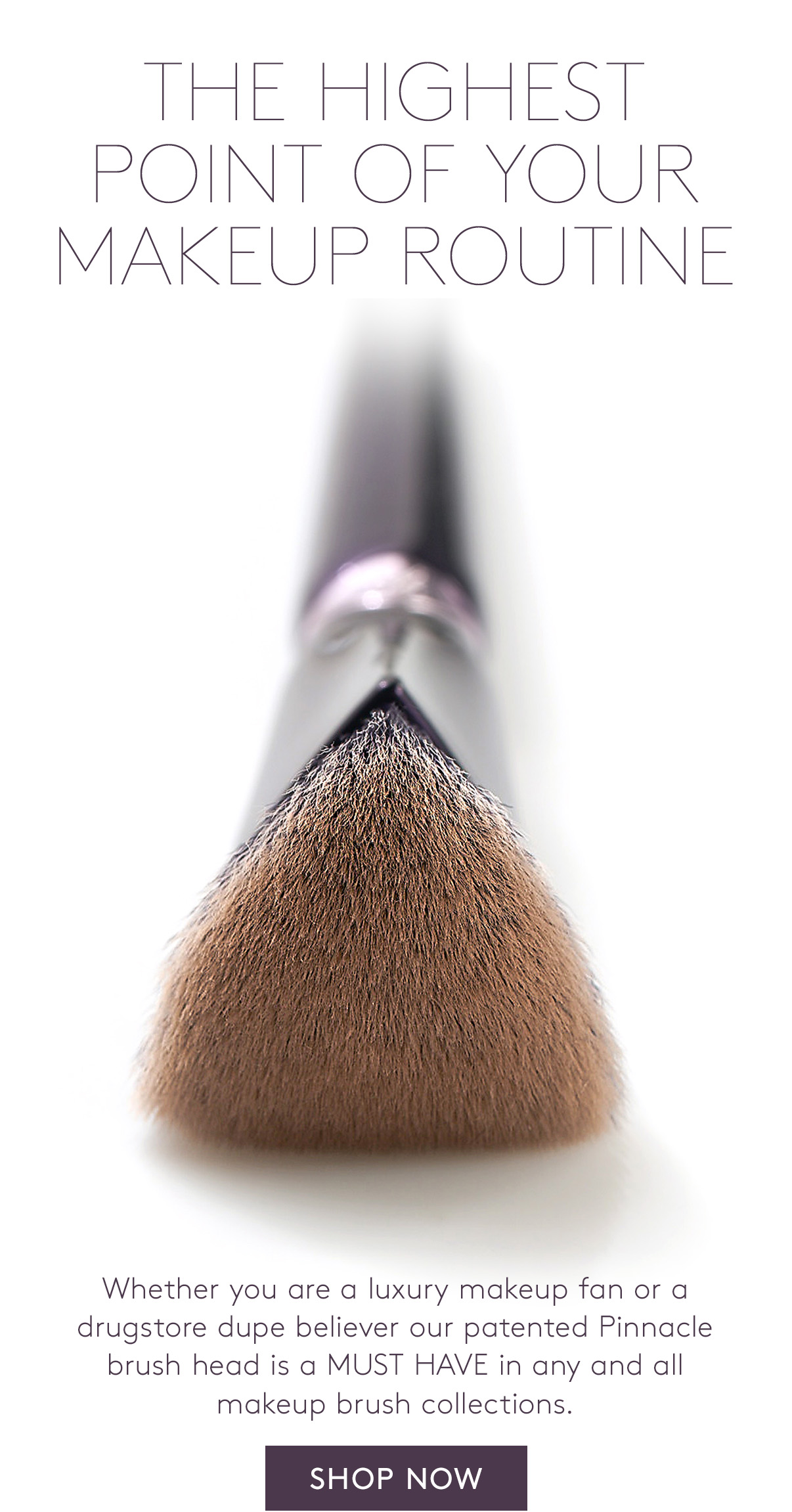 The Year of the Pinnacle Anisa Beauty