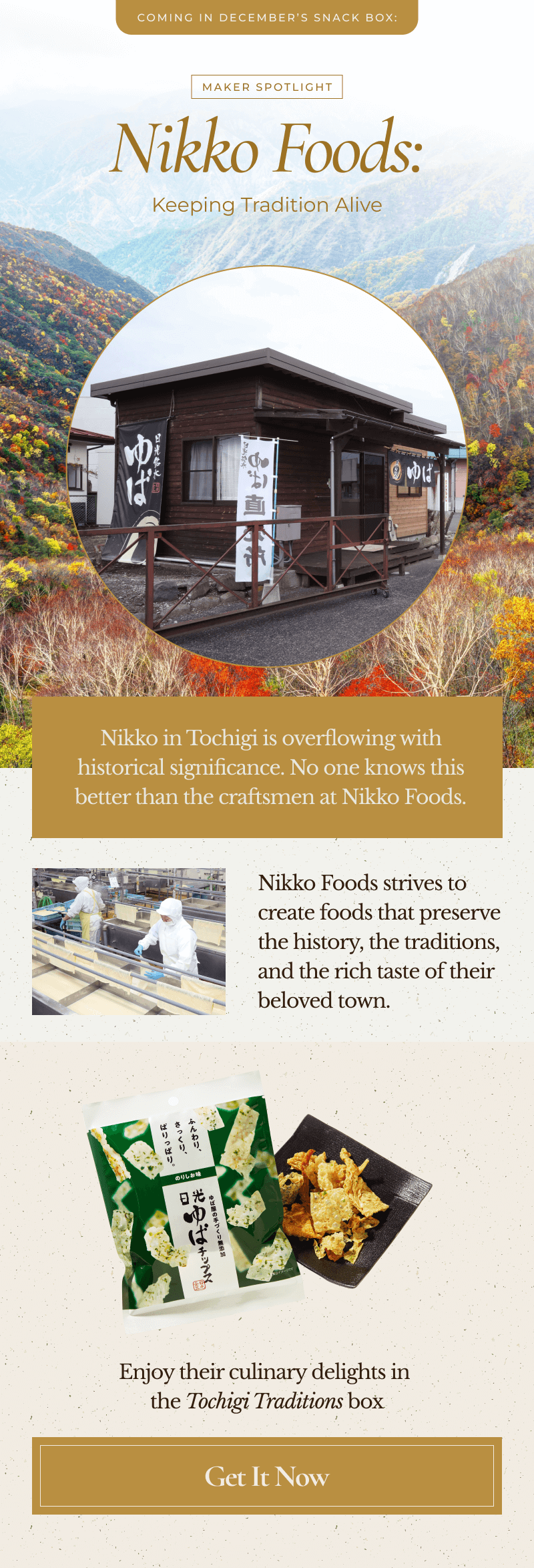 ⛩️ Nikko Foods: Japanese Tradition Through Food - Sakuraco