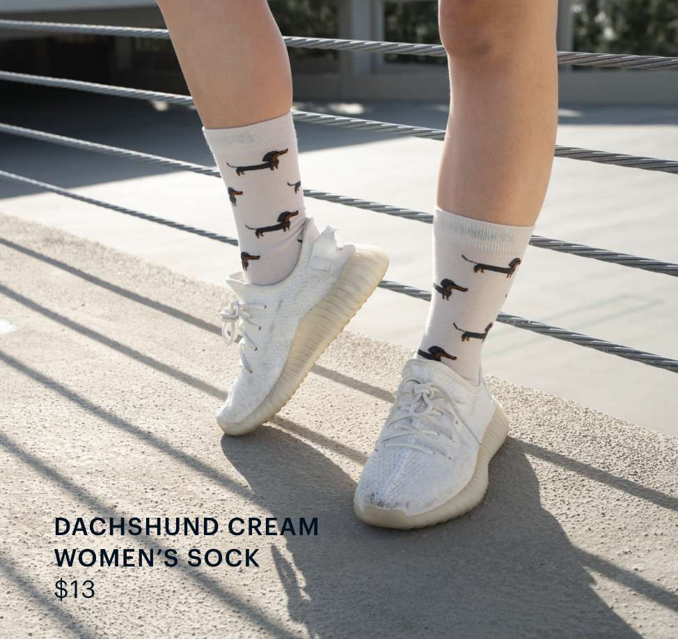 Dachshund Sock
