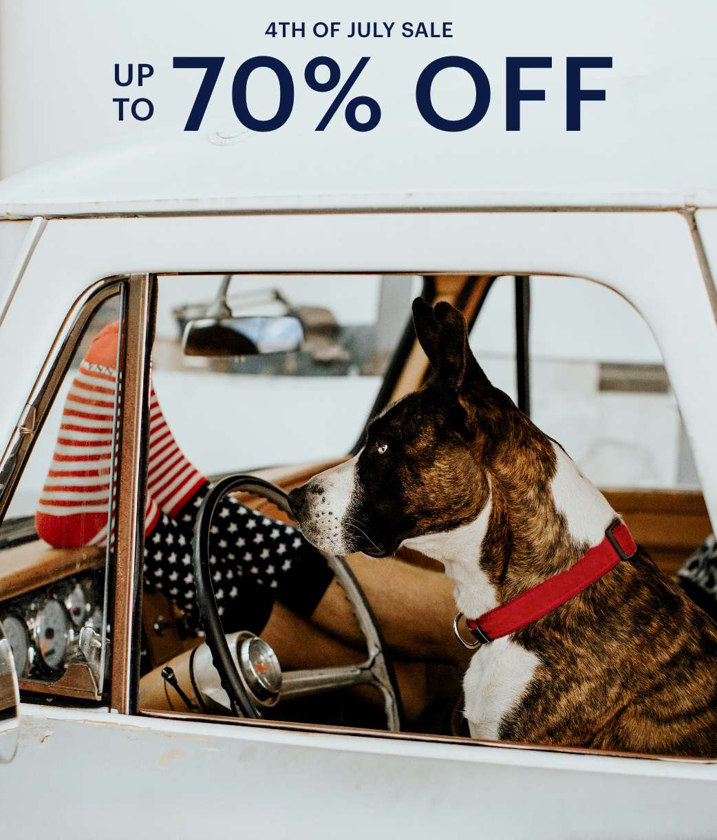 4th of July Sale