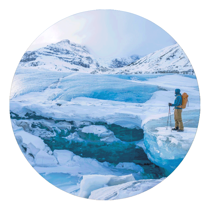 Welcome To The Family Text With Probar Meal Bar Images