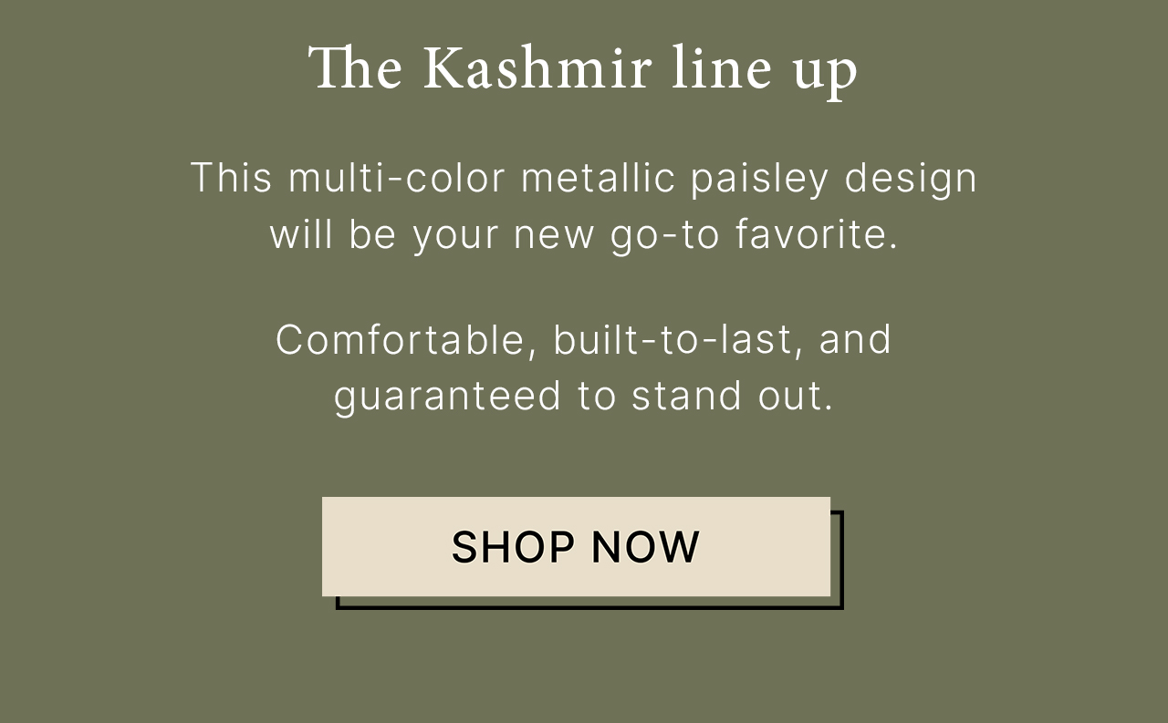 The Kashmir Line up