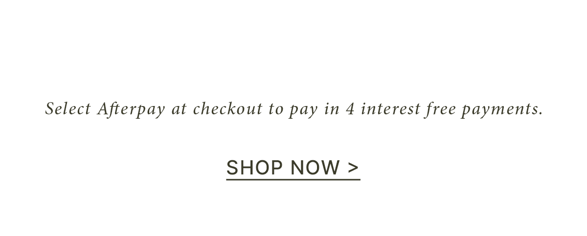 Shop Now. Pay Later. 