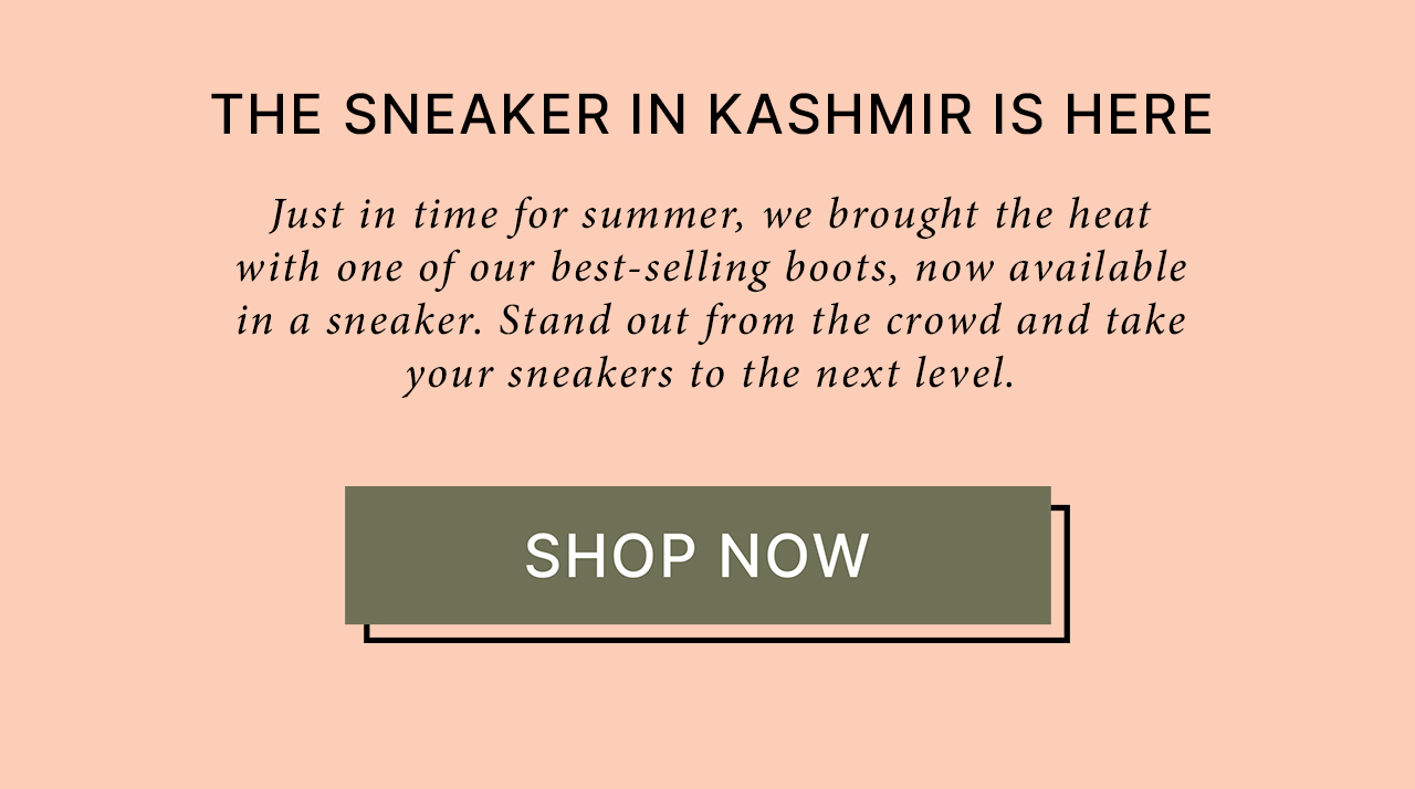 Sneaker in Kashmir - Details