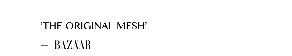The original mesh