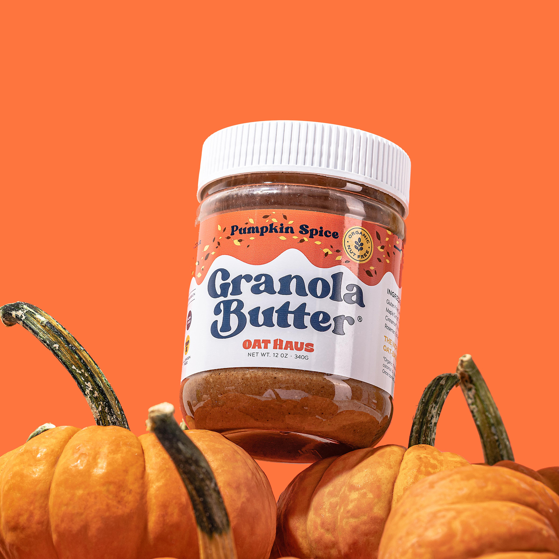 THE OAT NOTE pumpkin spice, expo east & cozy girl fall Oat Haus