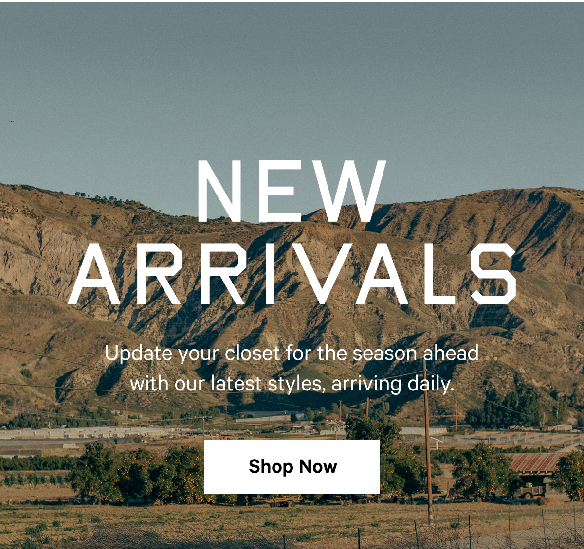 New Arrivals