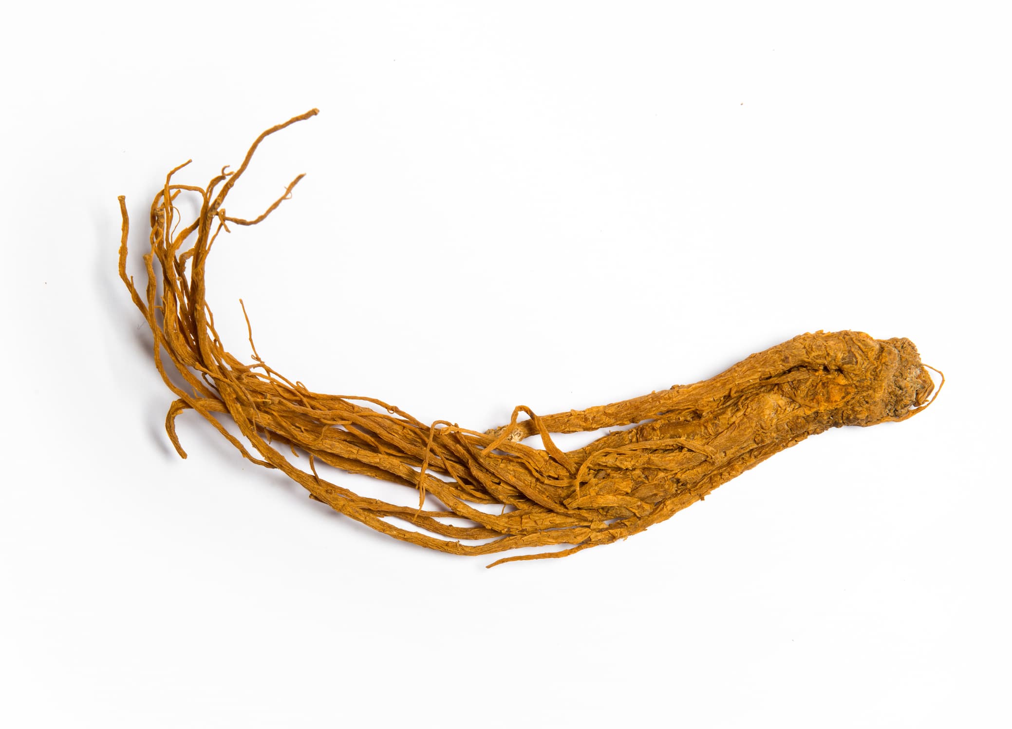 Dang Gui -- Chinese Angelica Root (当归), dried root slices