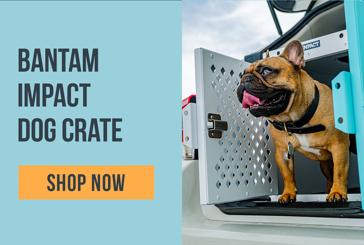 Deciding To Crate Train? Impact Dog Crates