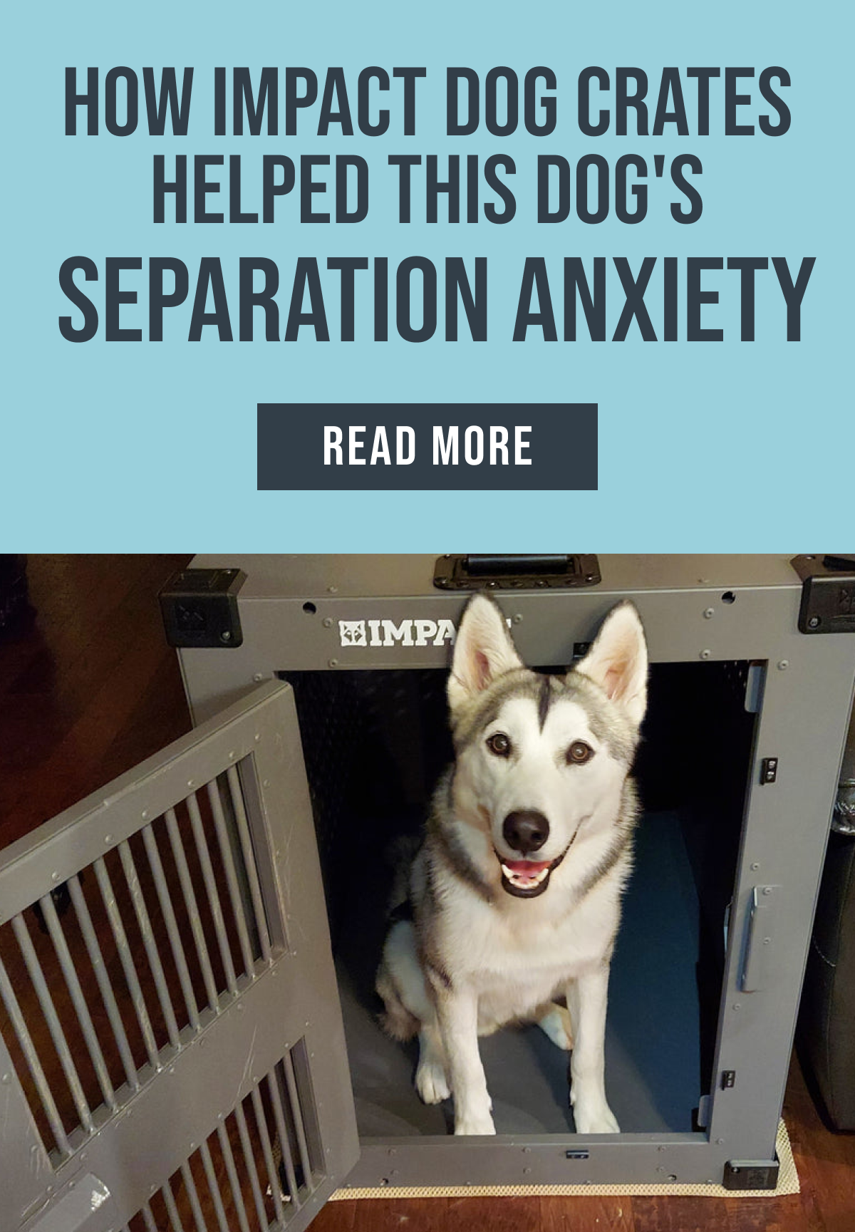 Dealing With Separation Anxiety? Impact Dog Crates
