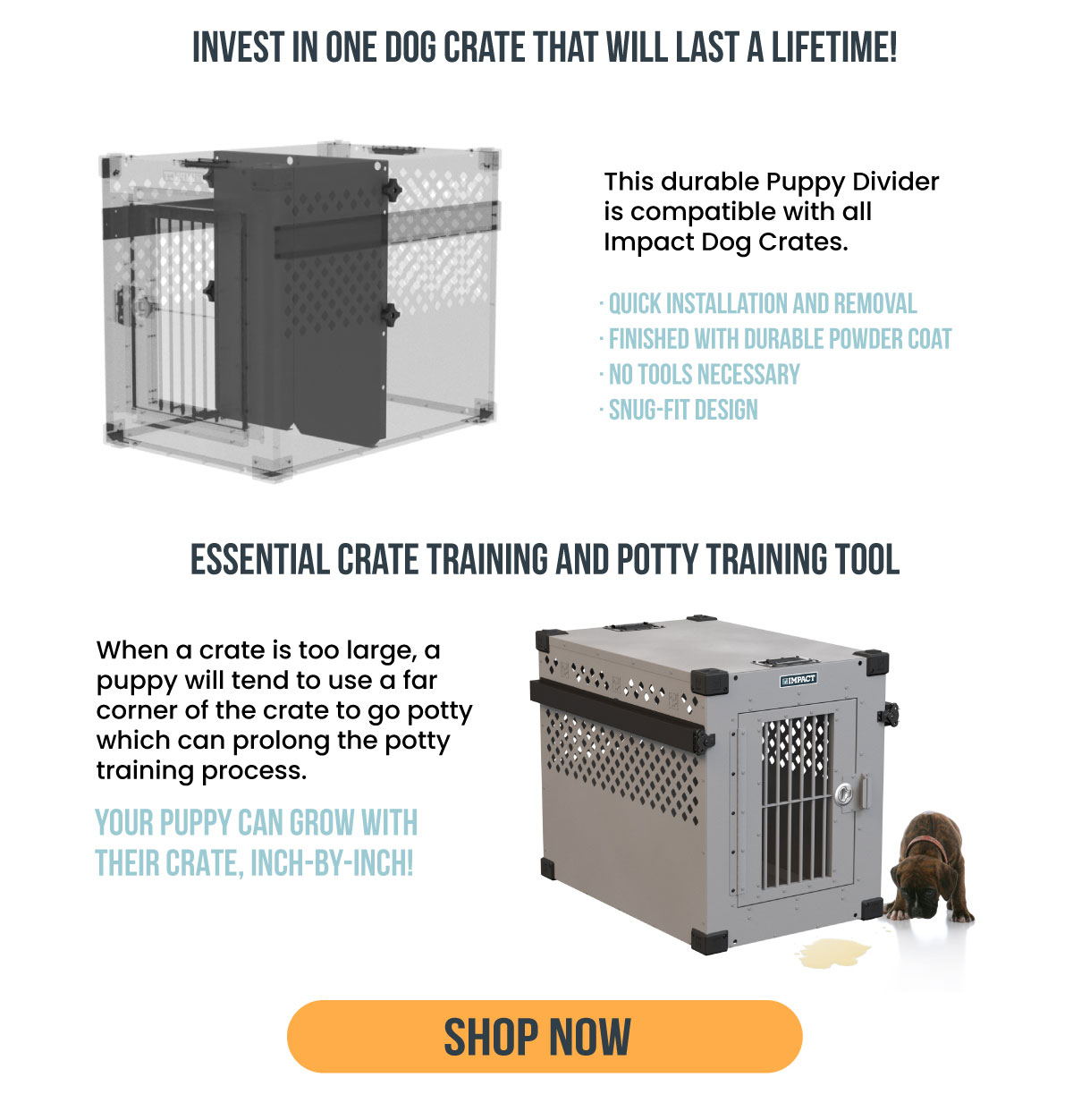 It's National Puppy Day! 🐶 Impact Dog Crates
