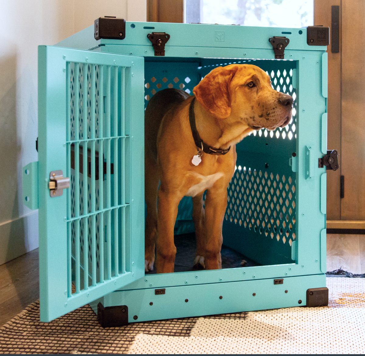 It’s National Puppy Day 🐶 Impact Dog Crates