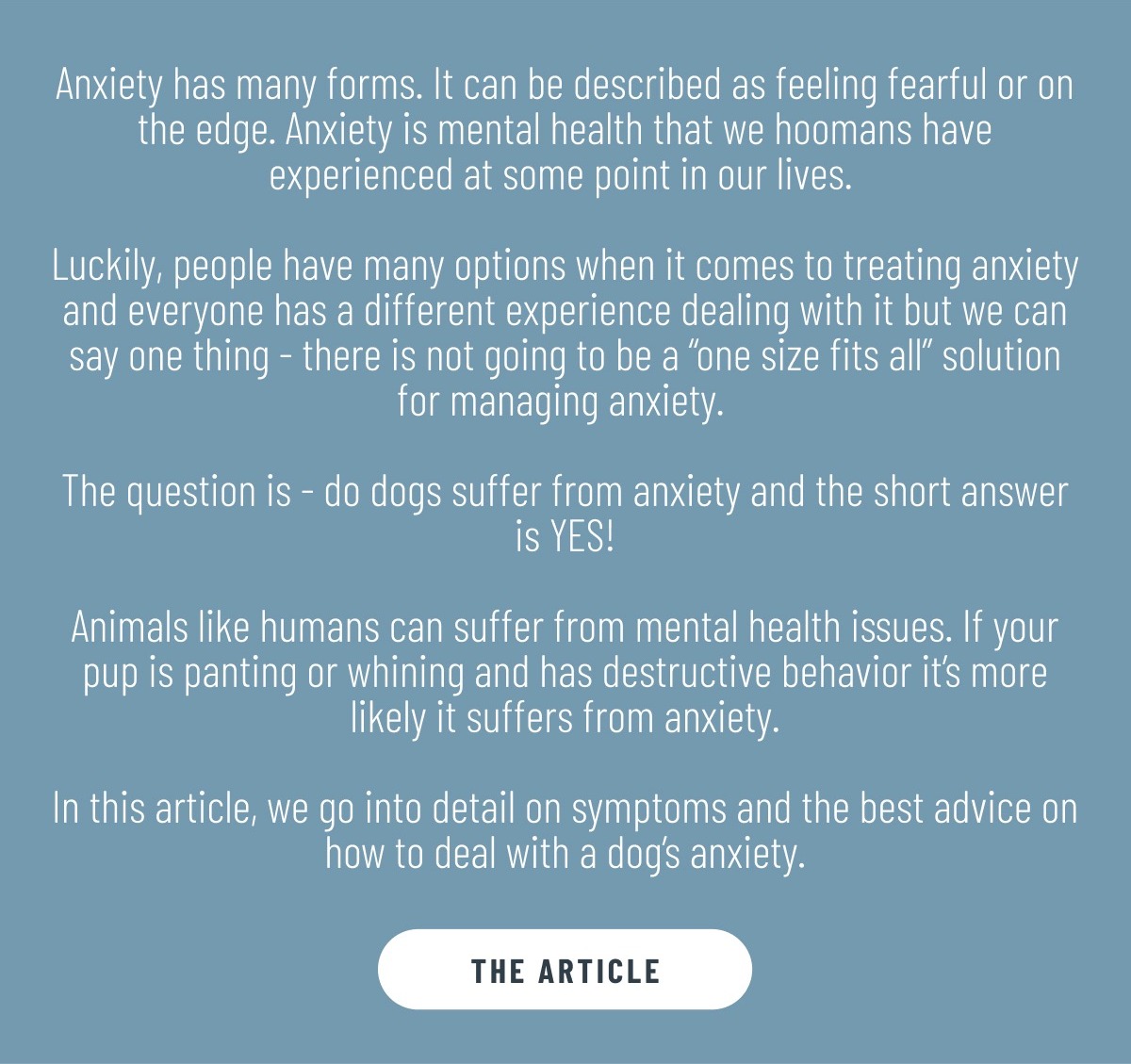 How to treat anxiety in dogs Impact Dog Crates