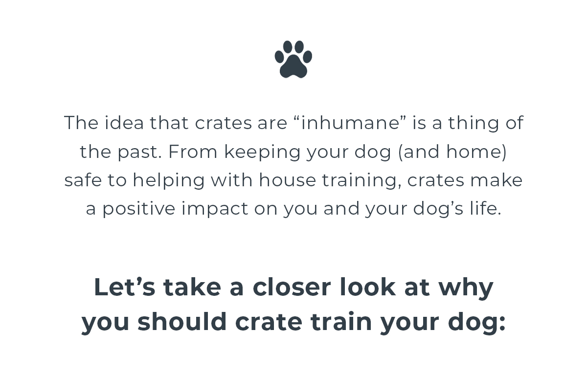Deciding To Crate Train? Impact Dog Crates