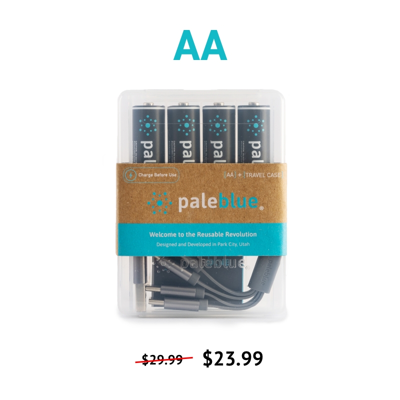 AA Batteries