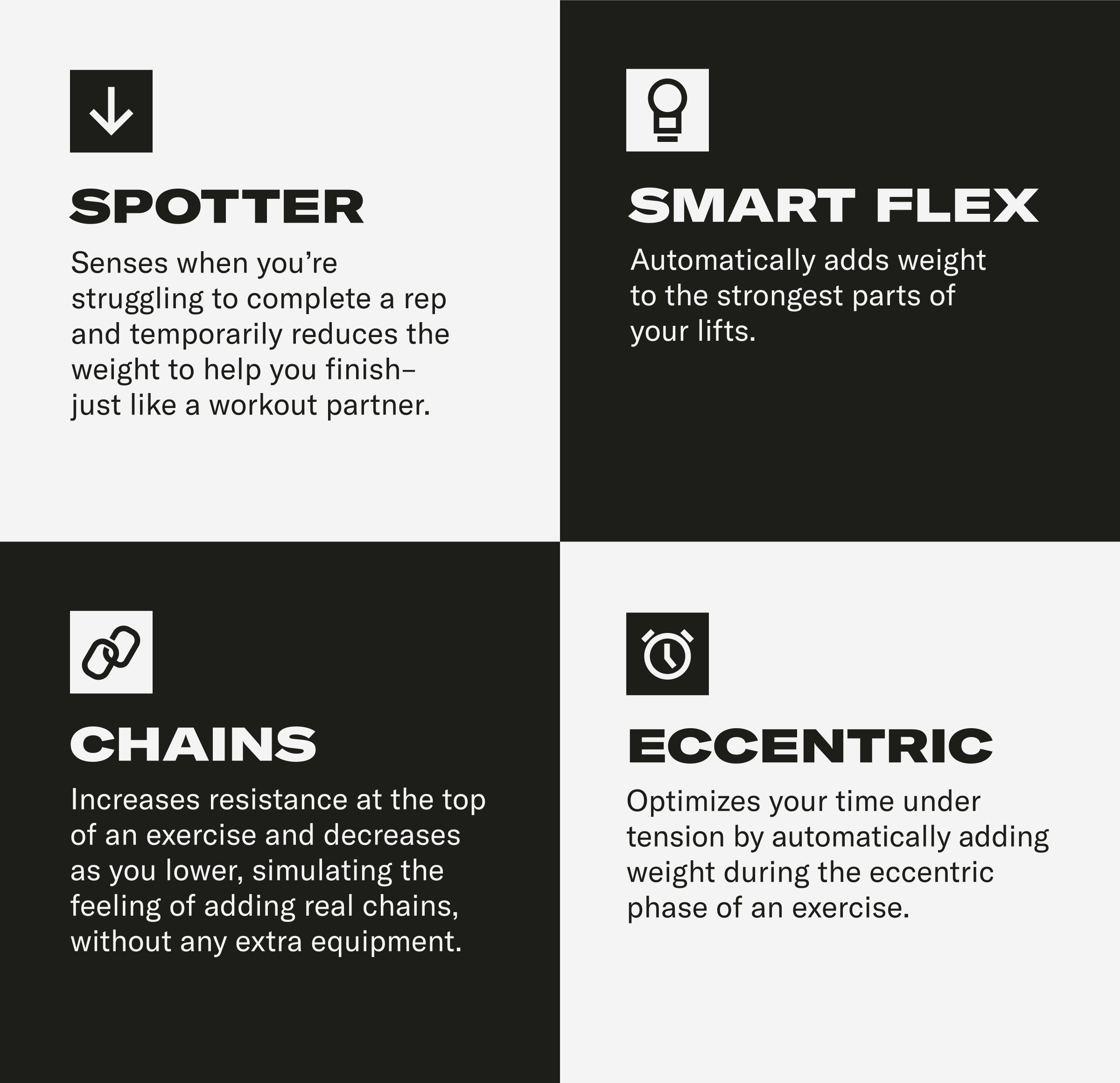 SPORTER | SMART FLEX | CHAINS | ECCENTRIC