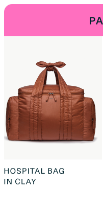 Hospital Bag in Clay