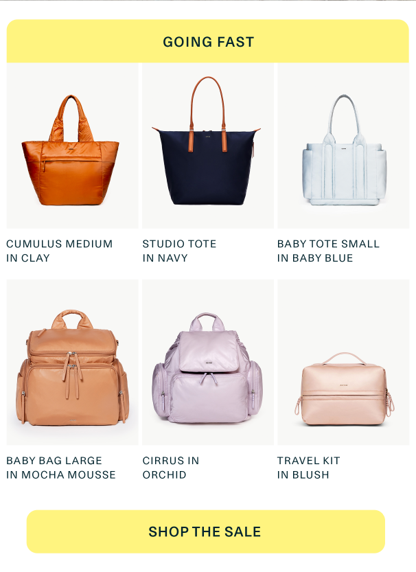 an image of a woman's purses and bags on sale