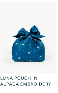 Luna Pouch in Alpaca Embroidery
