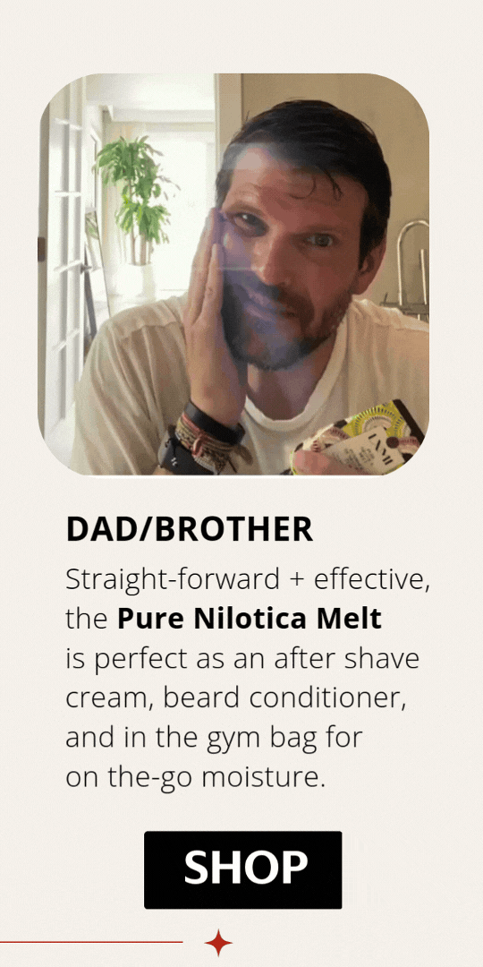 Dad/brother gift idea: the Melt