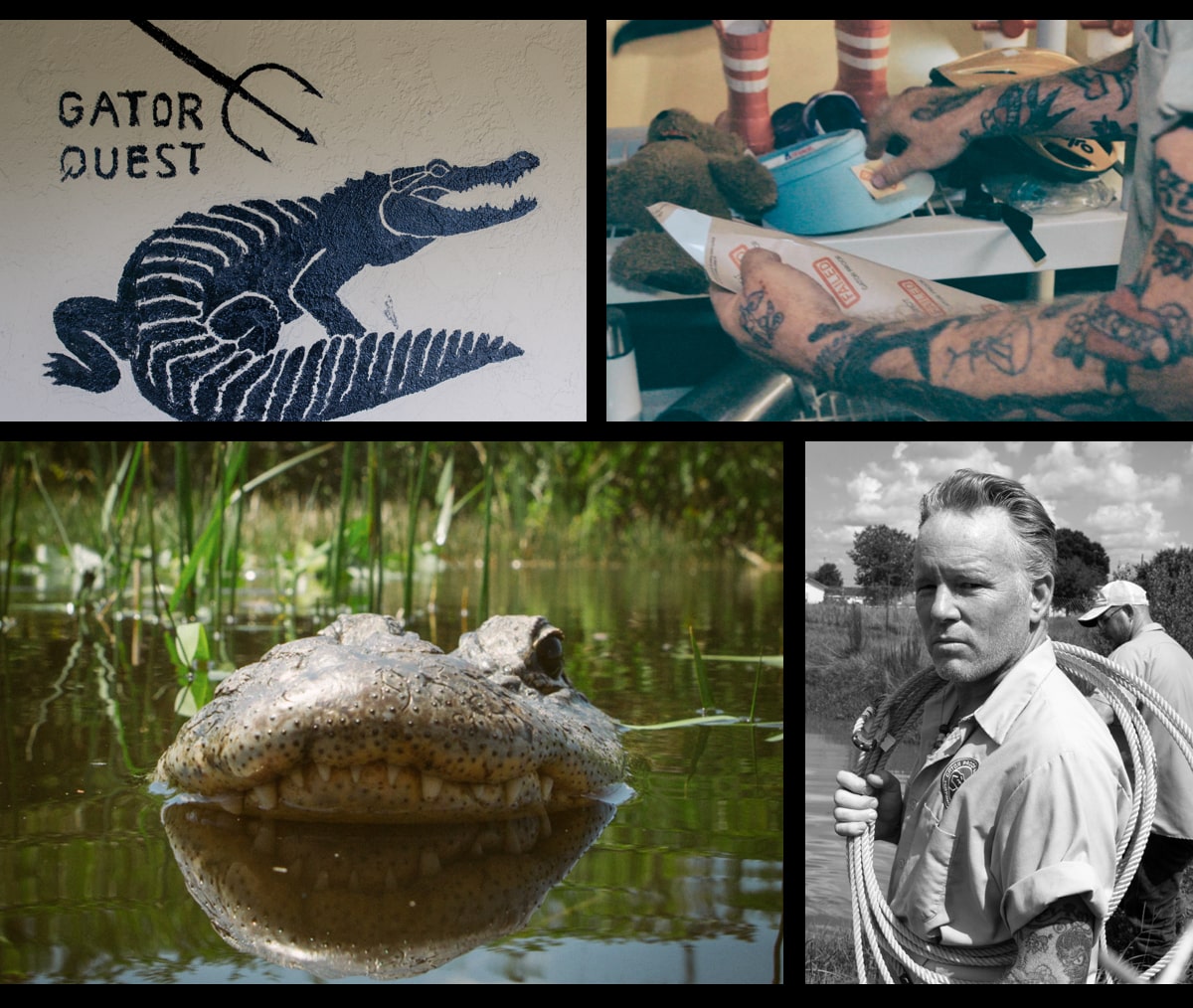 Gatorproof
