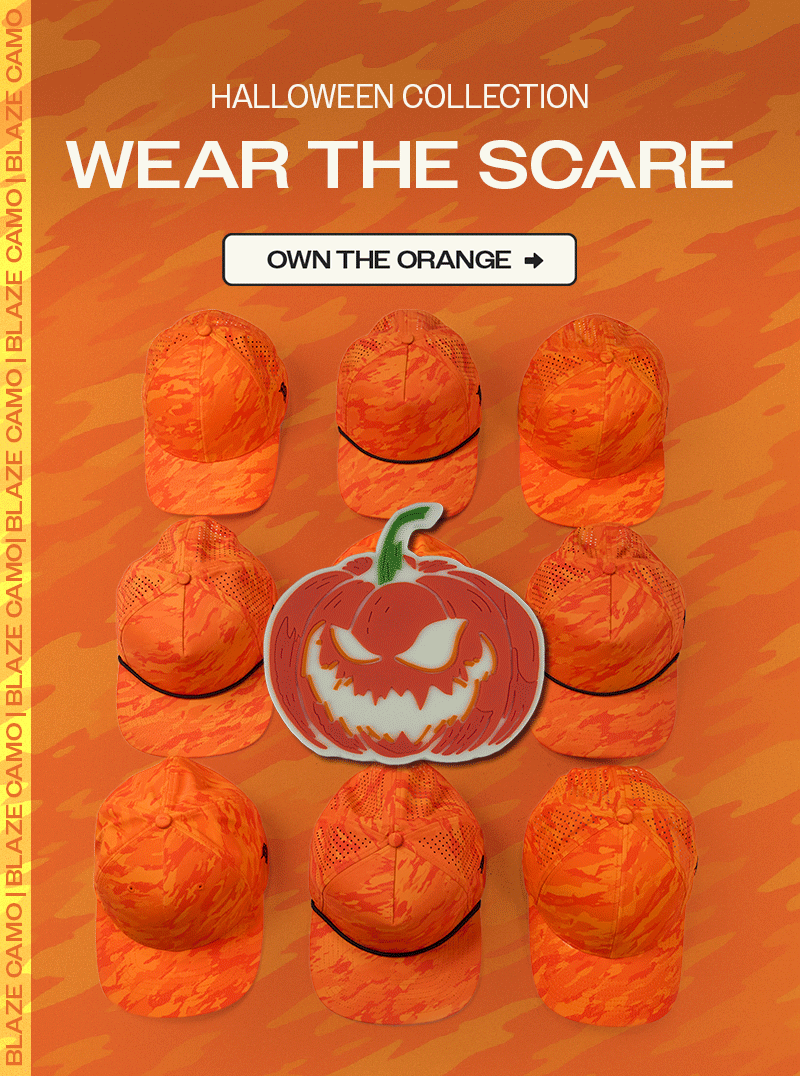 HALLOWEEN COLLECTION IS HERE | CLICK TO SHOP >