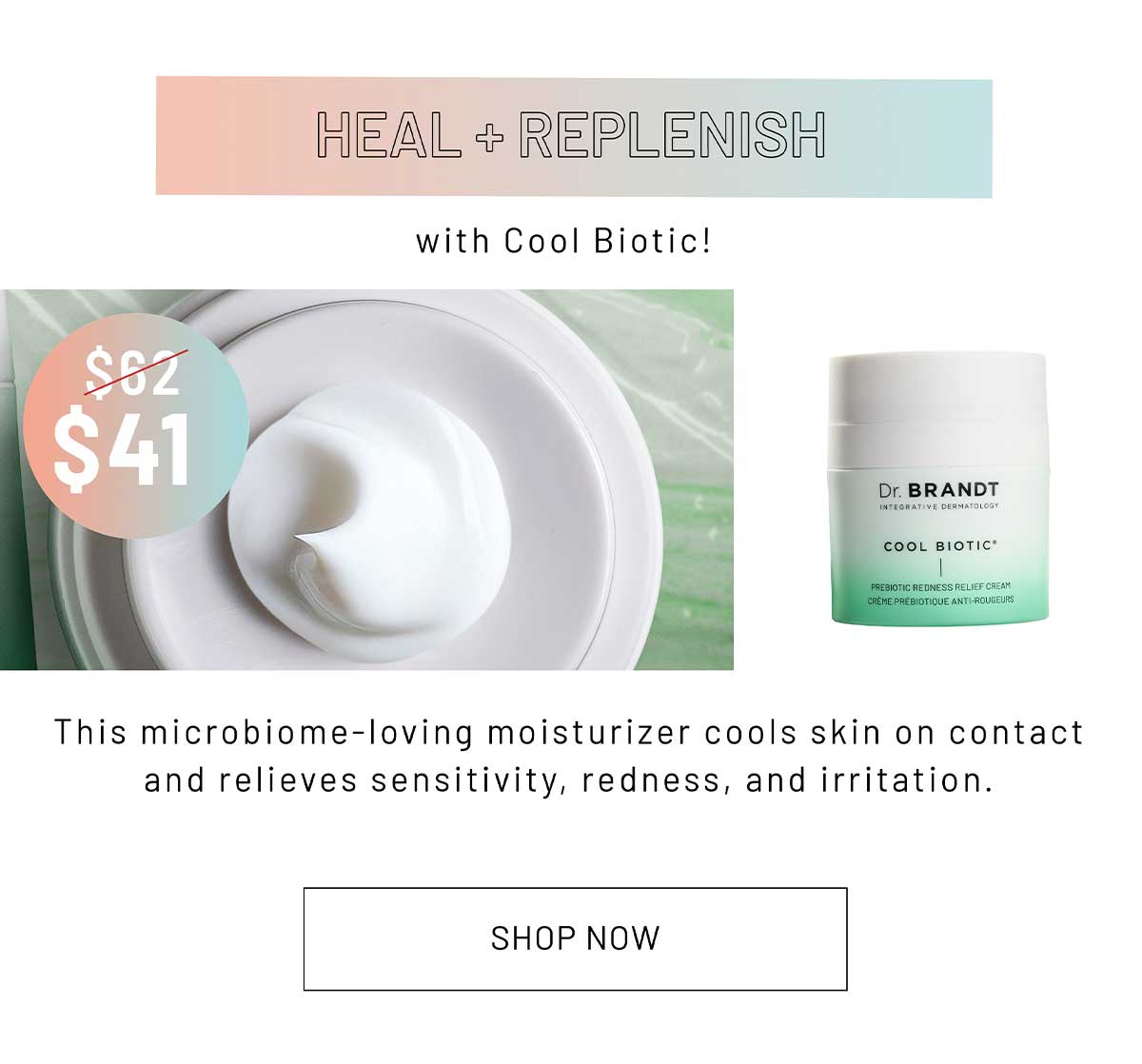SHOP NOW