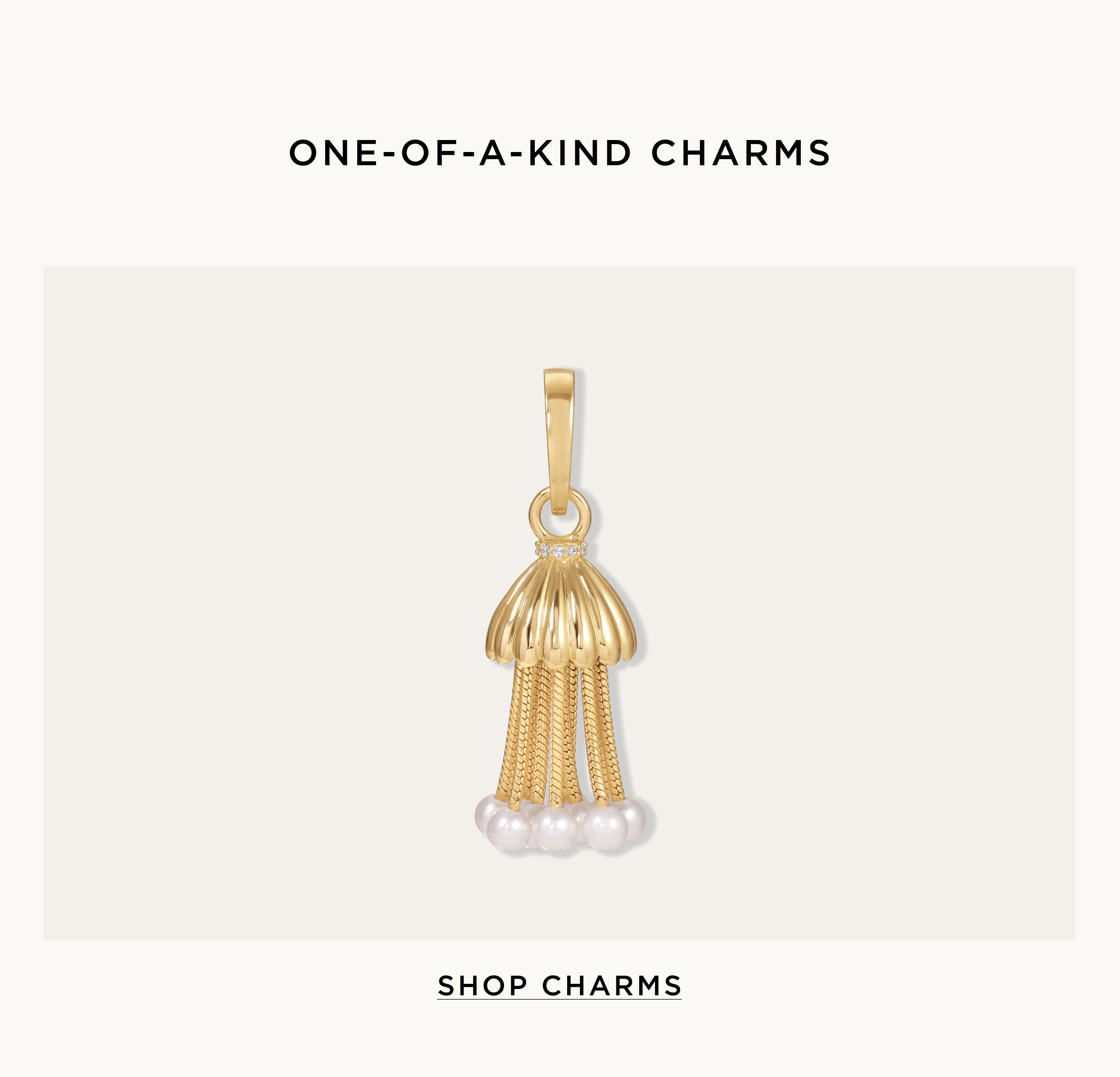 Shop Charms