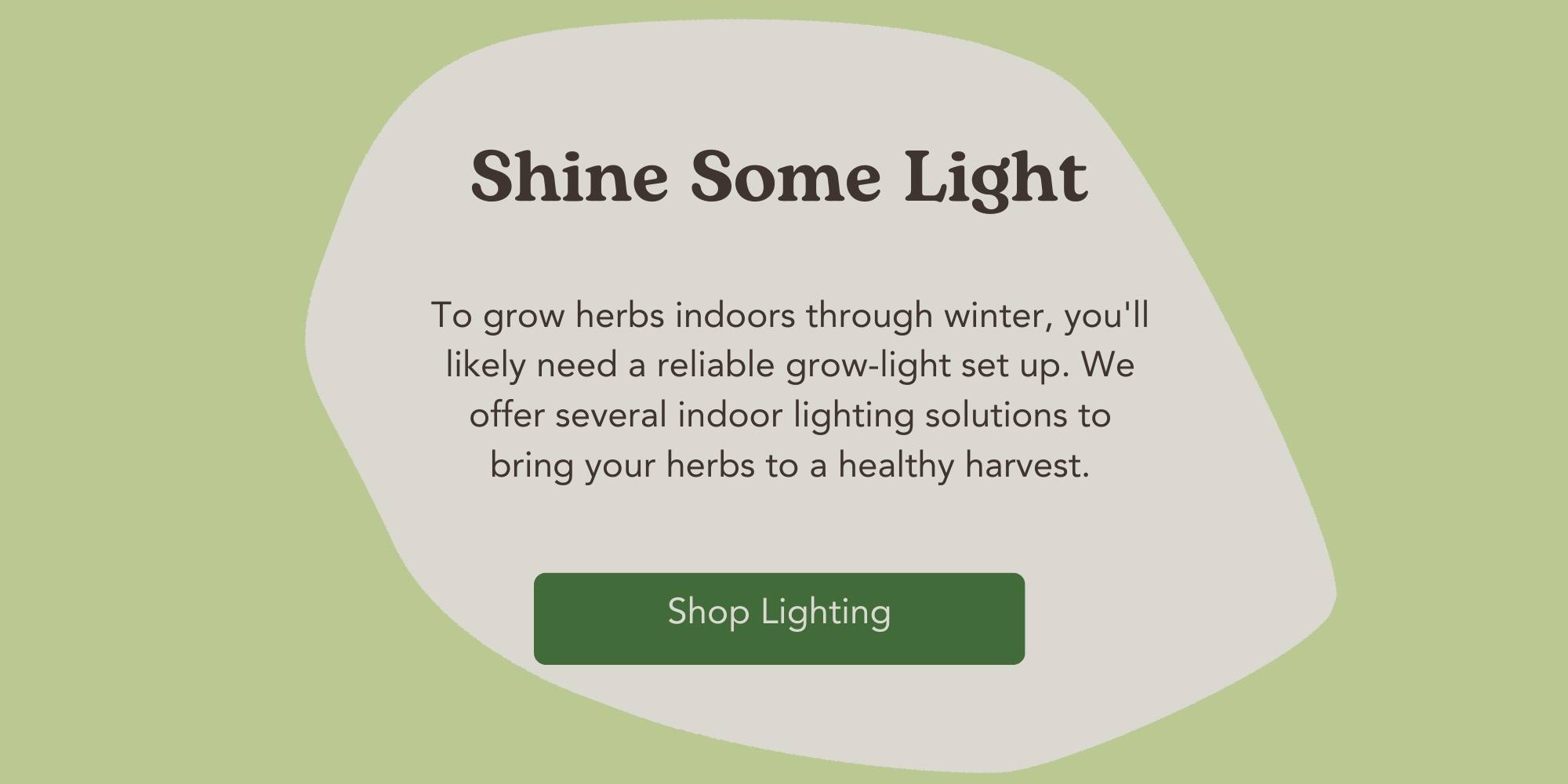 West Coast Seeds Shop Lighting
