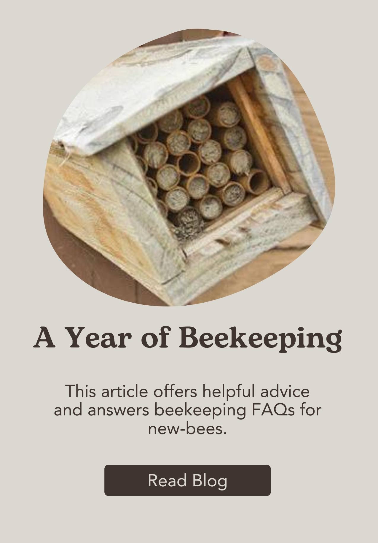 A Year of Beekeeping Caring for Bees West Coast Seeds