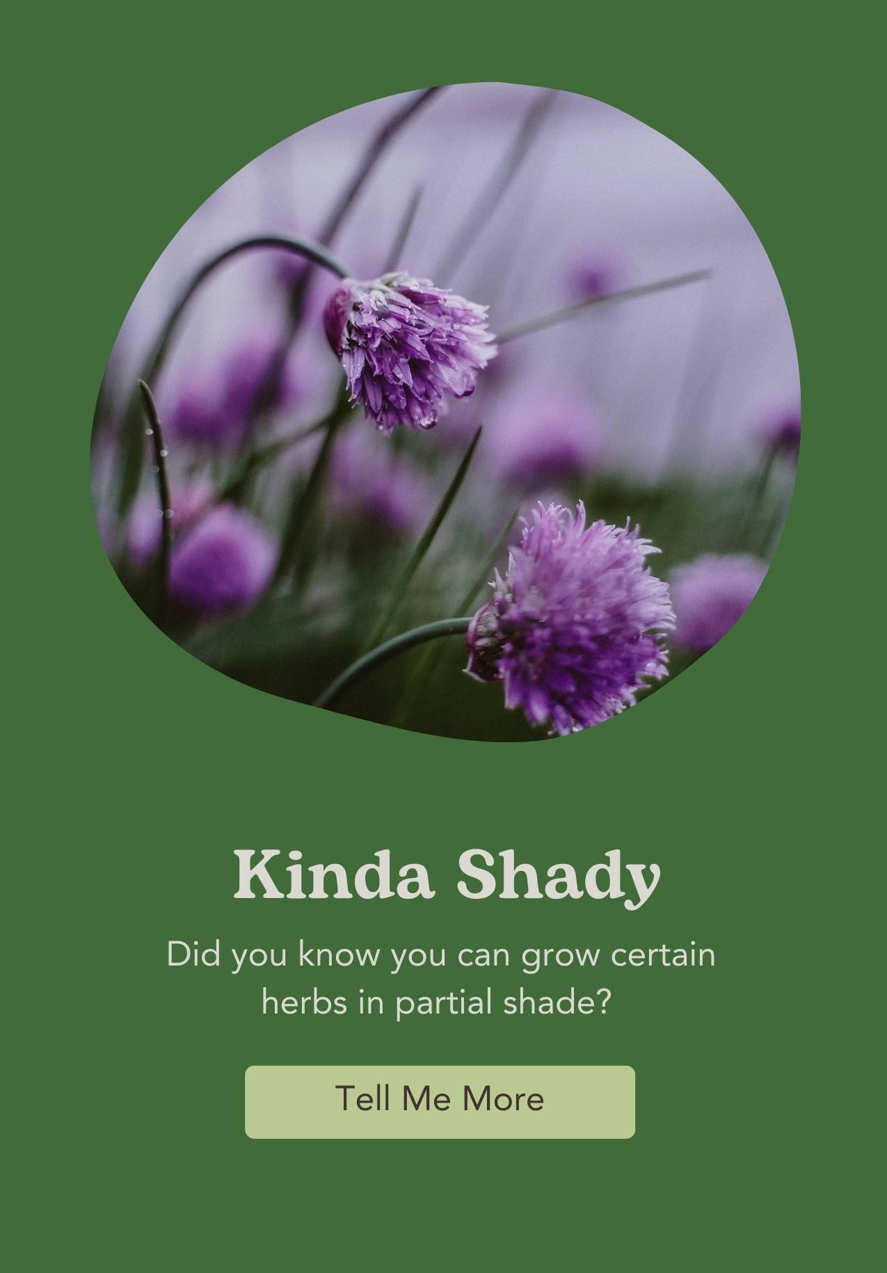 West Coast Seeds Part Shade Growing