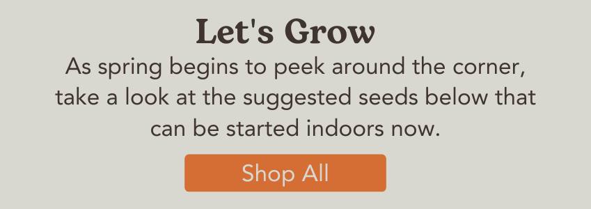 Seeds for Organic Gardens