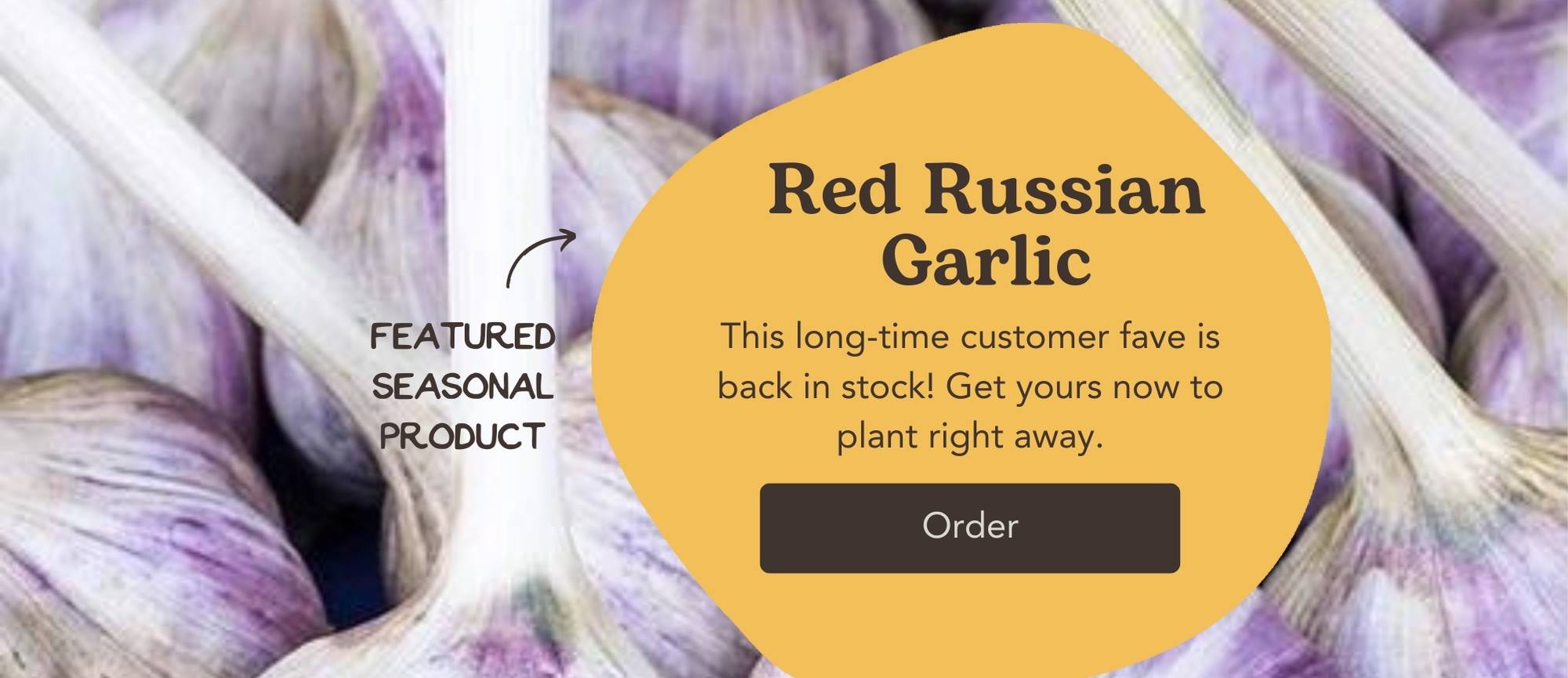 West Coast Seeds Garlic