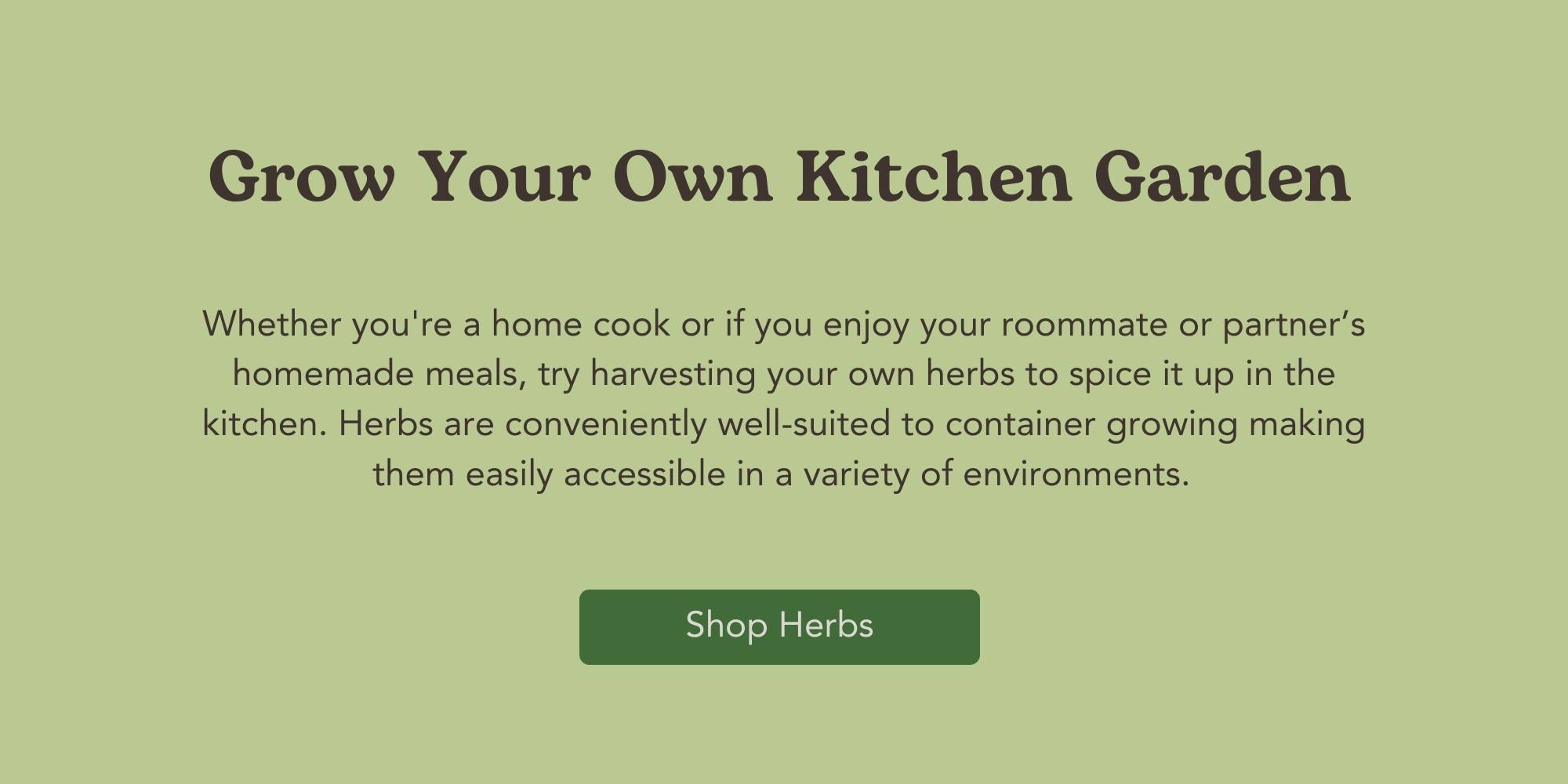 West Coast Seeds Shop Herb Seeds