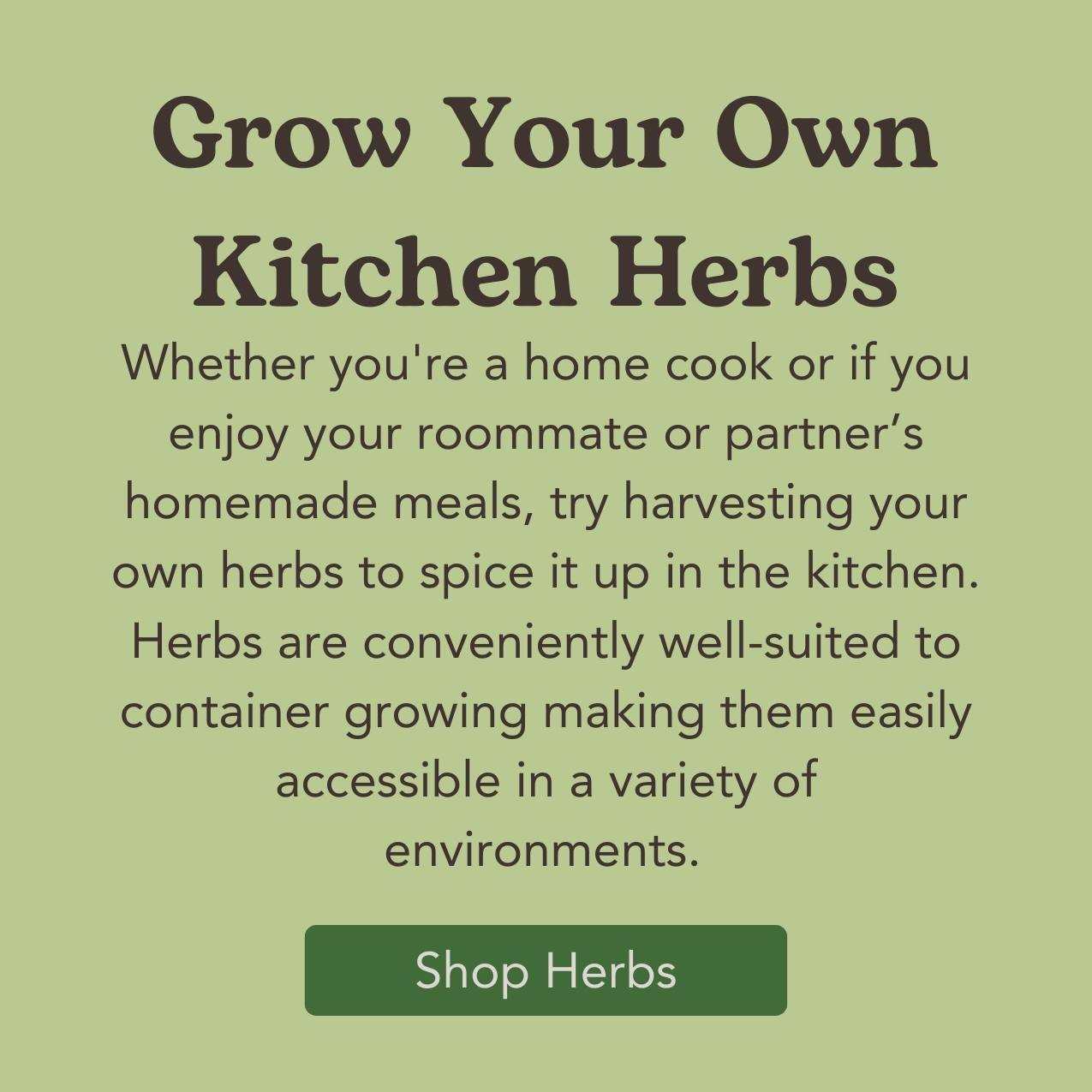 West Coast Seeds Kitchen Herb Garden Shop