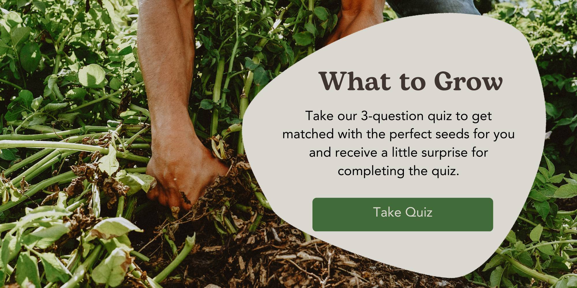 Take Seed Matchmaker Quiz