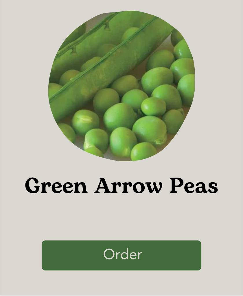 West Coast Seeds Green Arrow Peas