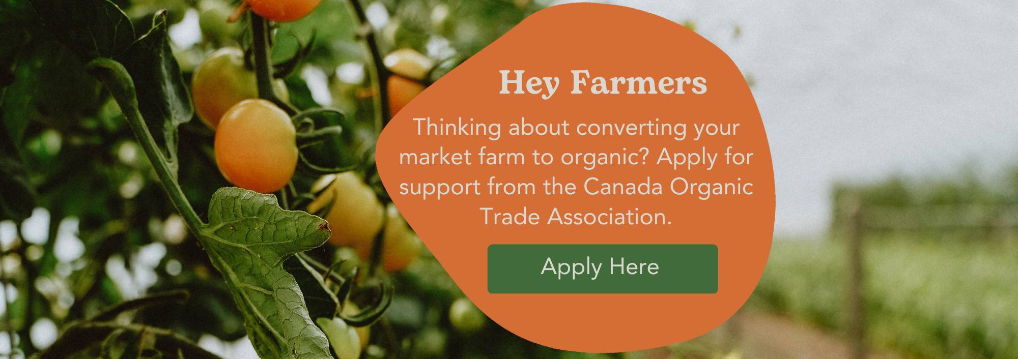 Farmer Organic Certification