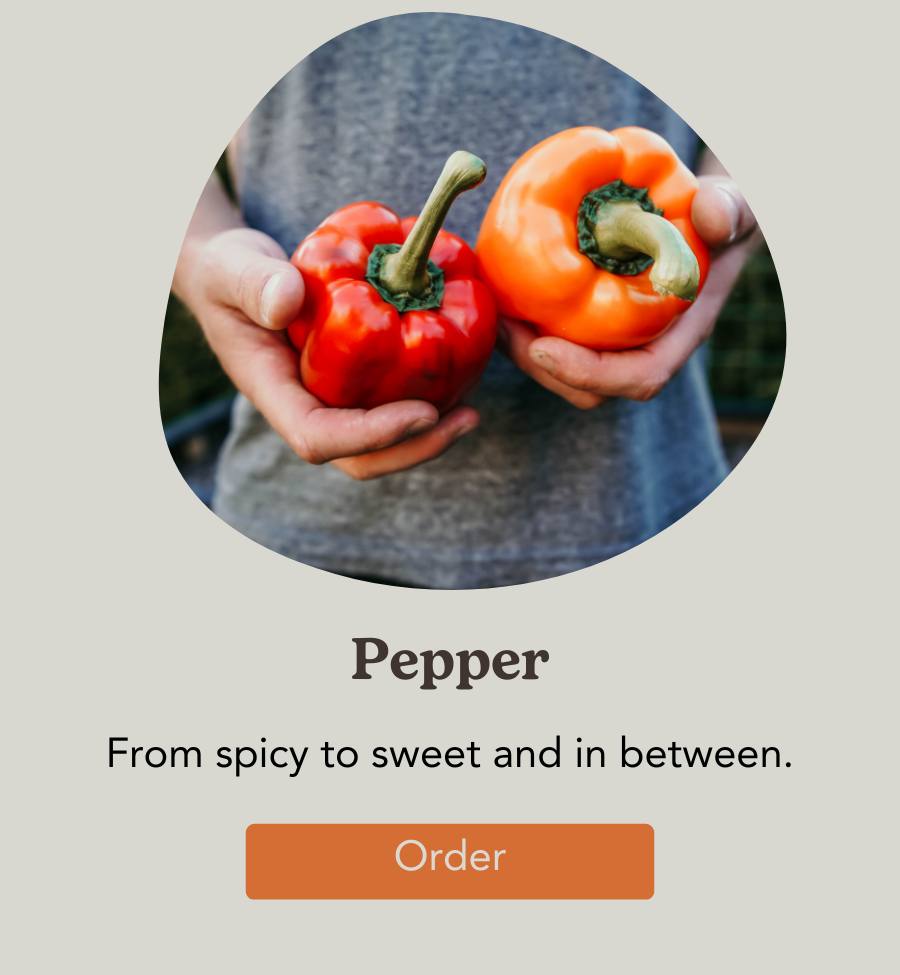 Pepper Seeds