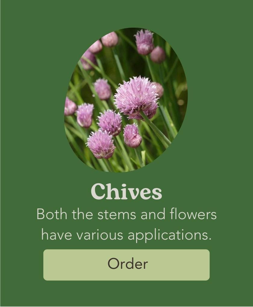 West Coast Seeds Chives