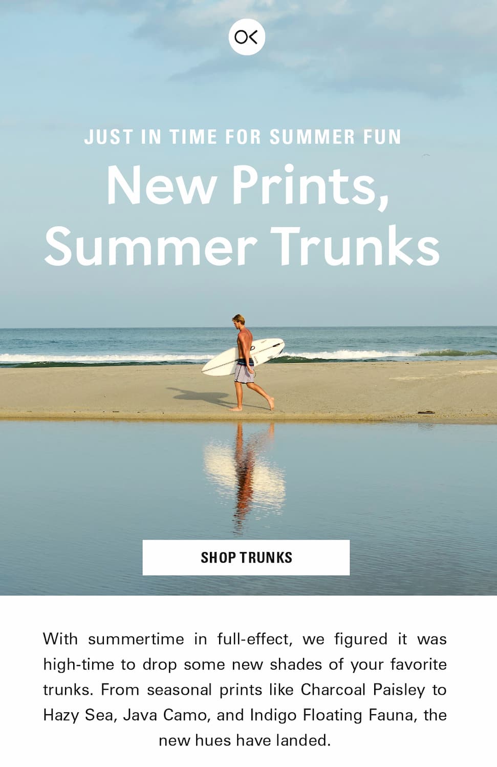 Trunks newness
