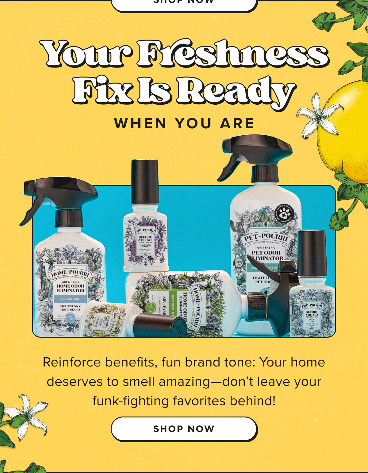 Your Freshness Fix Is Ready When You Are