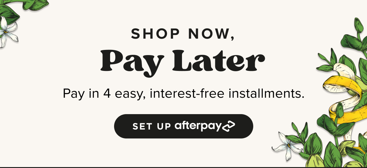 Shop Now, Pay Later.