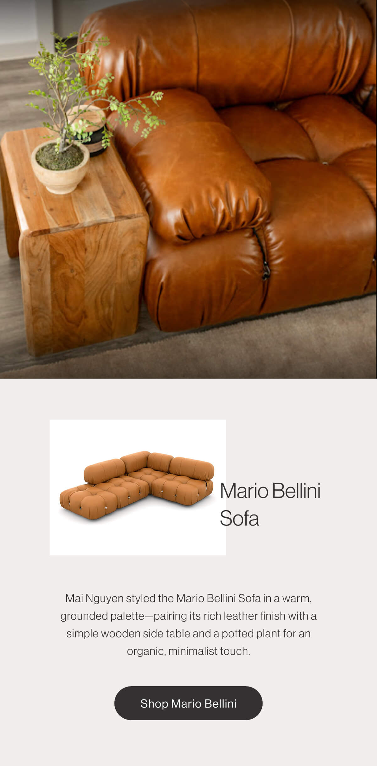 Mario Bellini Sofa - Mai Nguyen styled the Mario Bellini Sofa in a warm, grounded palette—pairing its rich leather finish with a simple wooden side table and a potted plant for an organic, minimalist touch. - Shop Now