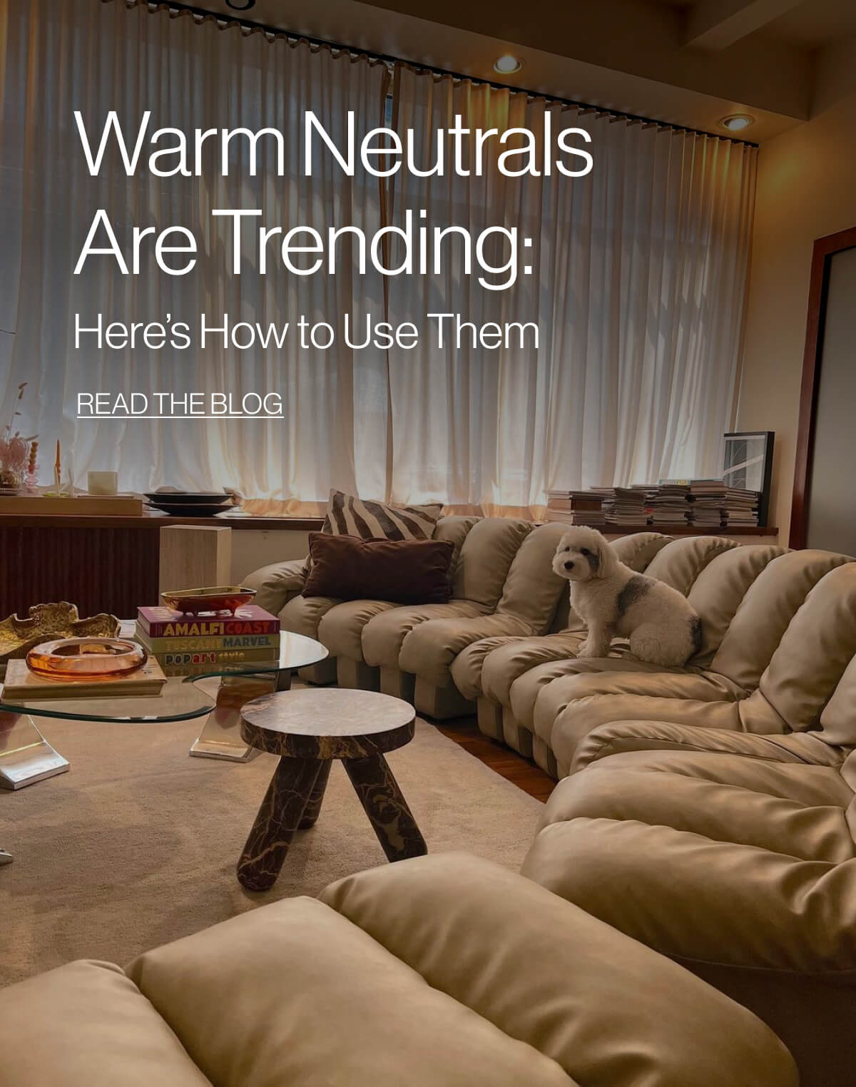  Warm Neutrals Are Trending: Here's How to Use Them - Read The Blog
