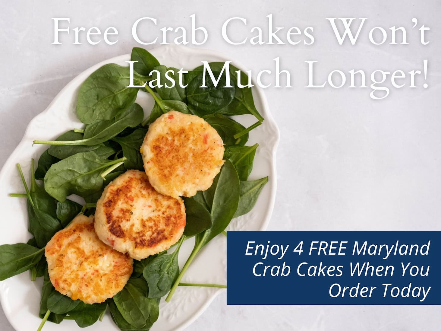Maryland Jumbo Lump Crab Cakes
