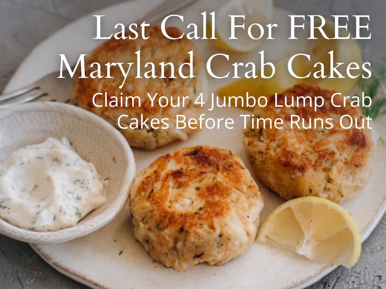 Maryland Jumbo Lump Crab Cakes