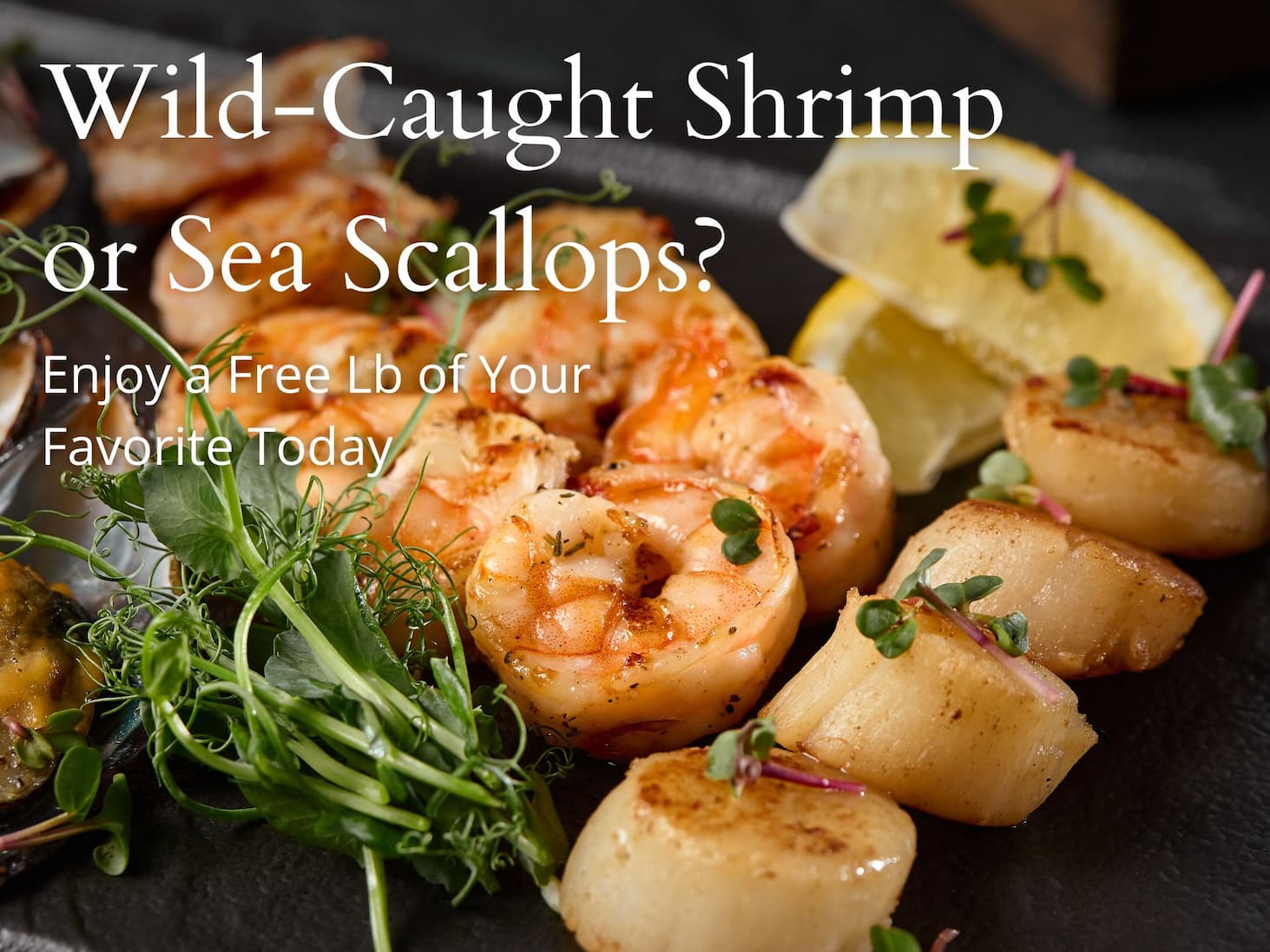 Shrimp or Scallops