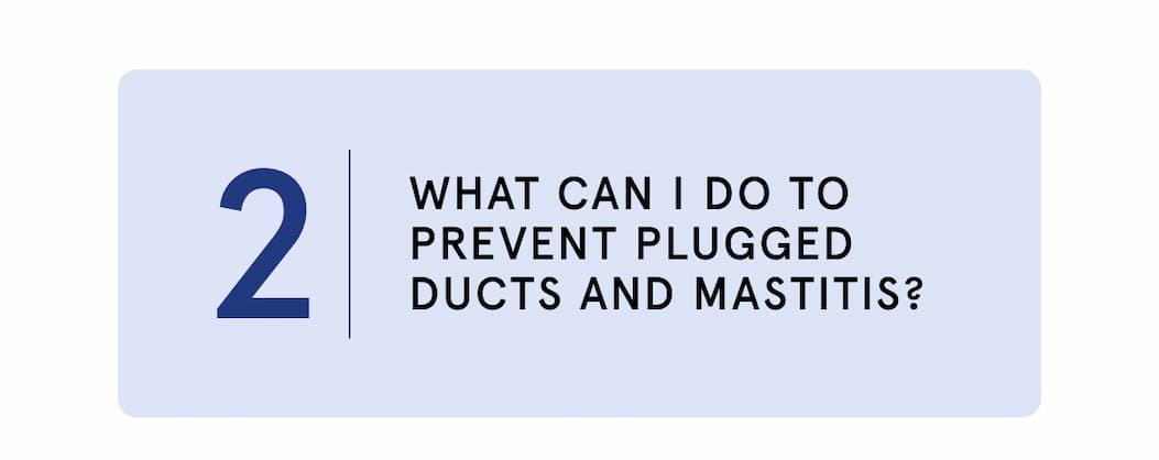 What can I do to prevent plugged ducts and mastitis?